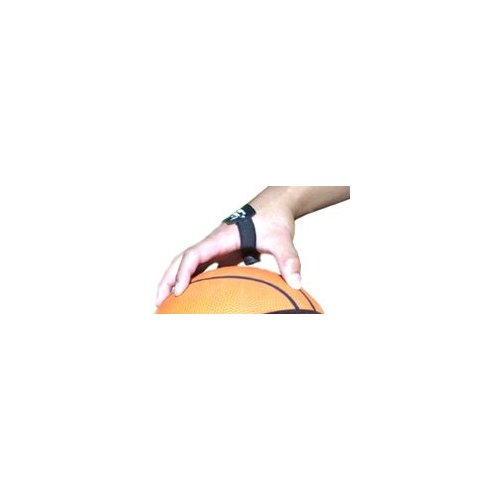 naypalm.jpg